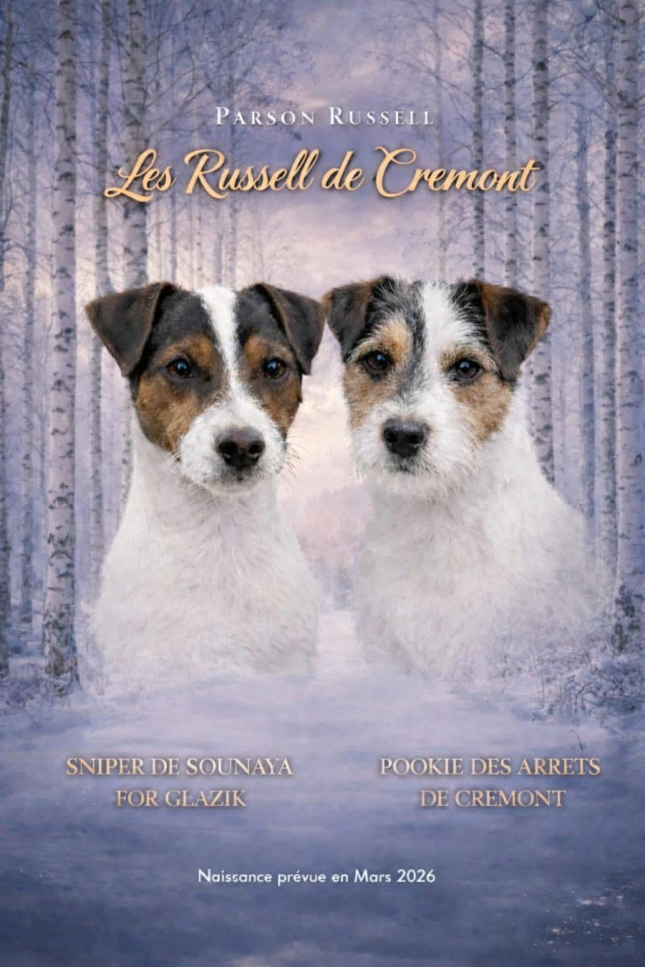 Naissance parson en mars 2026